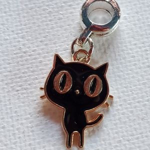 Charm. Silver and gold tone. NWOT.  Fits in Pandora snake chain Bracelet.